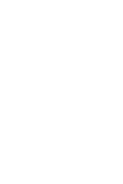 Japanese shoe size online to eu